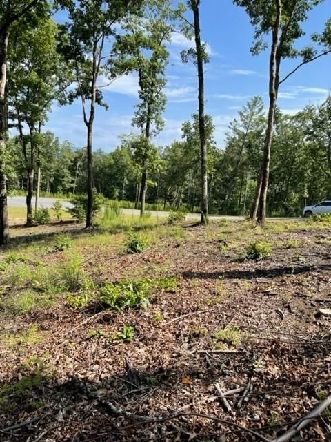 Vacant Land For Sale - LT 119 Highland Park #119<br/> BLAIRSVILLE, GA 30512