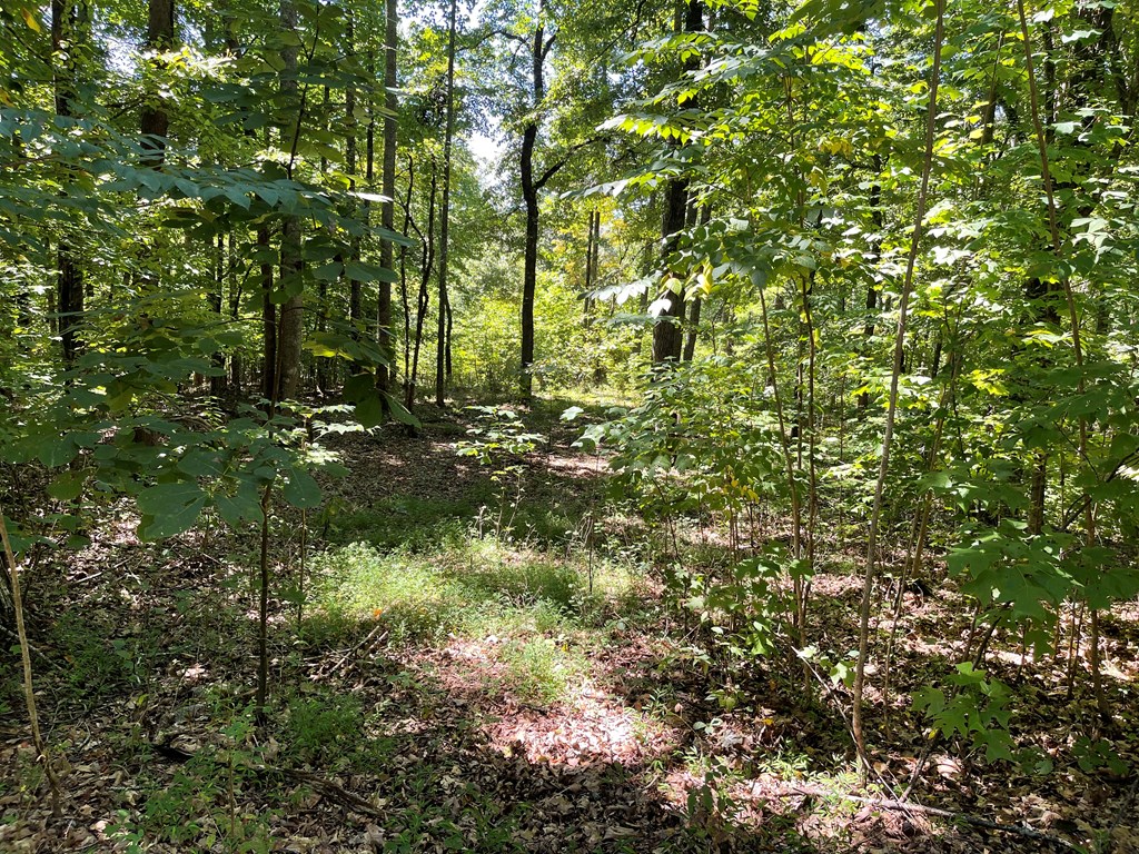 Lot 11B Grandview Drive #11B, HAYESVILLE, North Carolina image 2