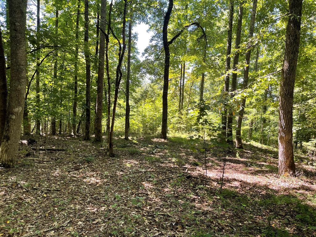 Lot 11B Grandview Drive #11B, HAYESVILLE, North Carolina image 1