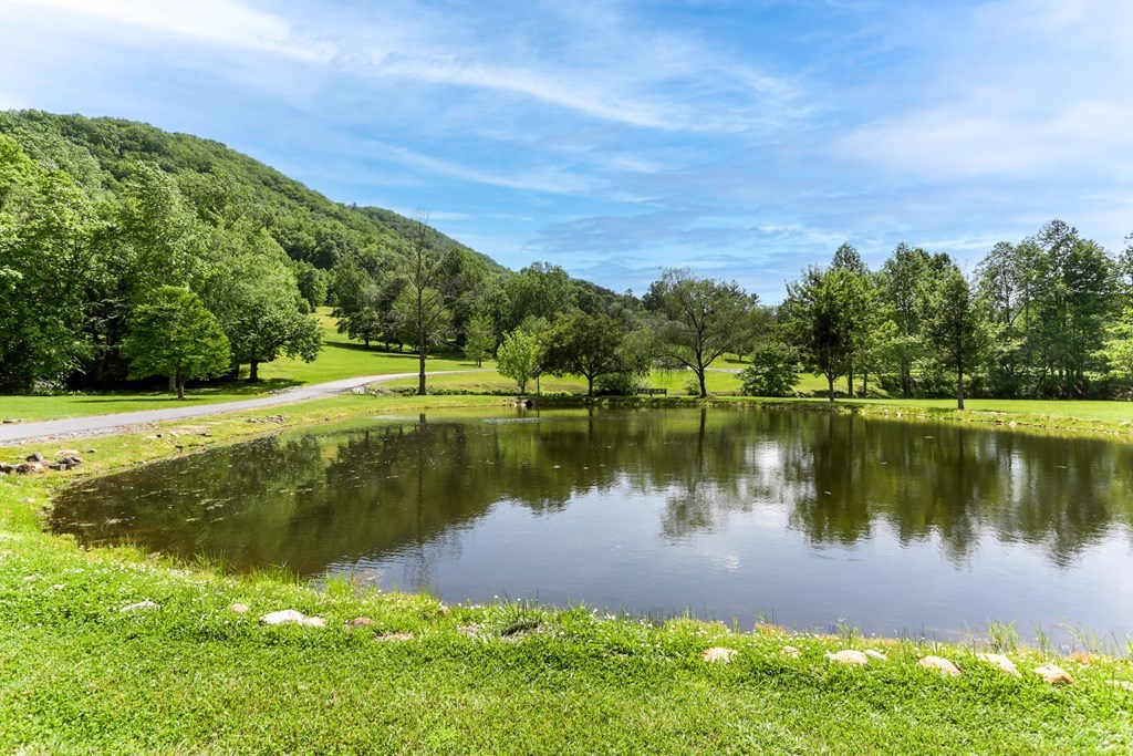 4167 Downings Creek Road, HAYESVILLE, North Carolina image 42