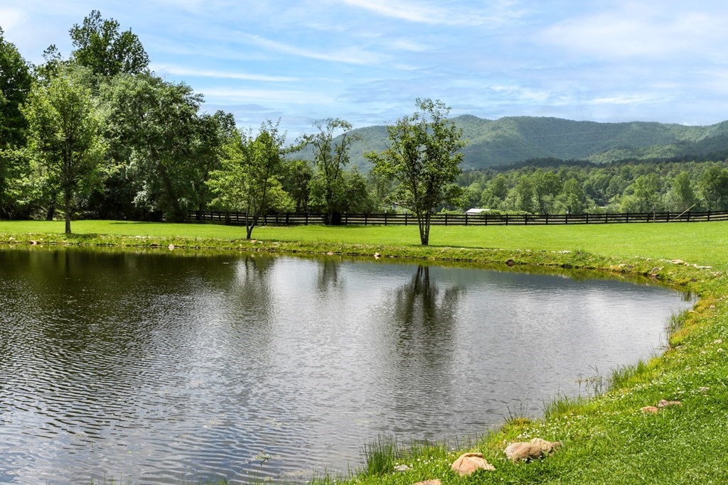 4167 Downings Creek Road, HAYESVILLE, North Carolina image 44