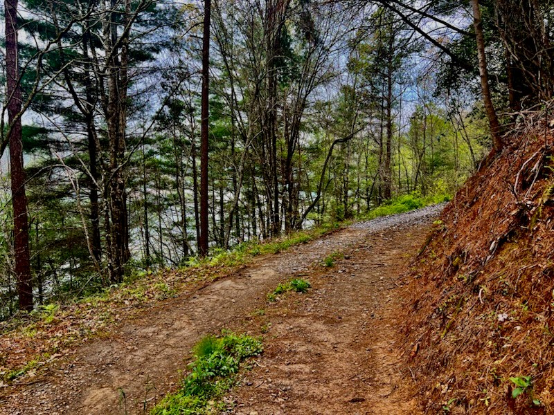 TR 47 Majestic Mountain Trail #TR 47, MURPHY, North Carolina image 6