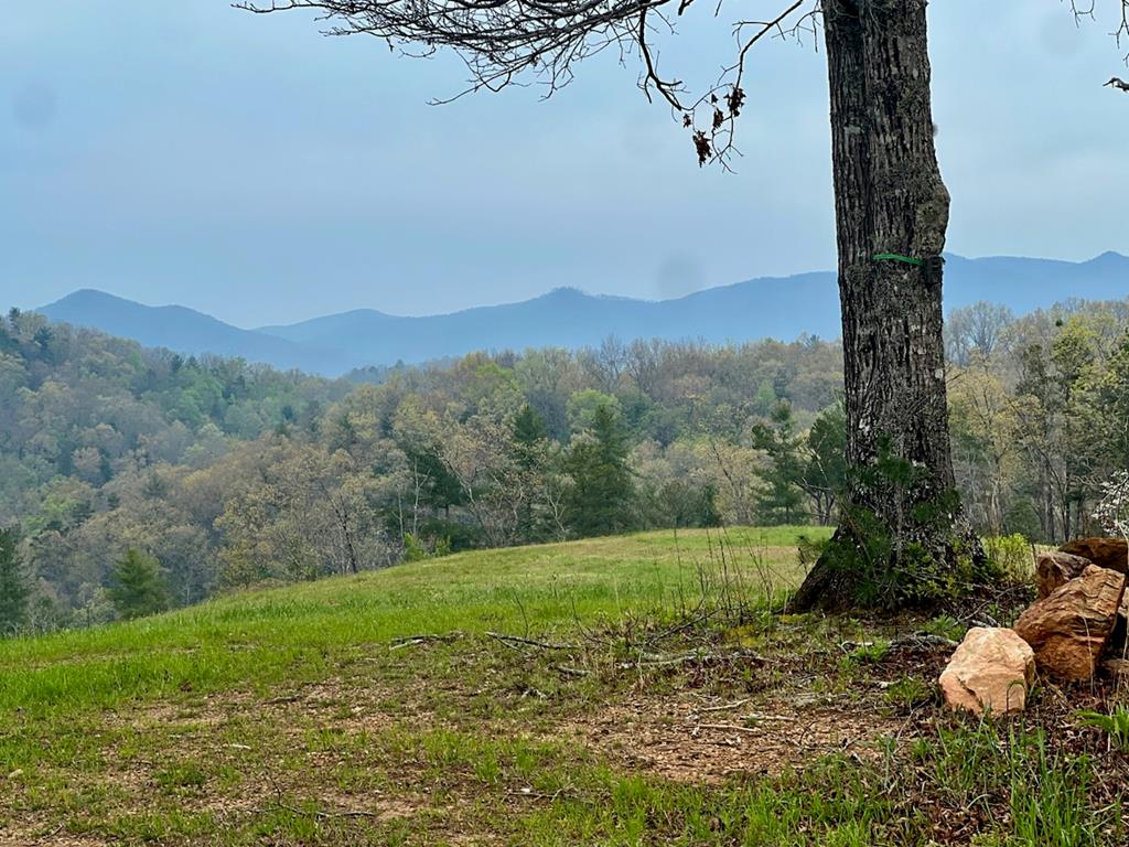 TR 47 Majestic Mountain Trail #TR 47, MURPHY, North Carolina image 1