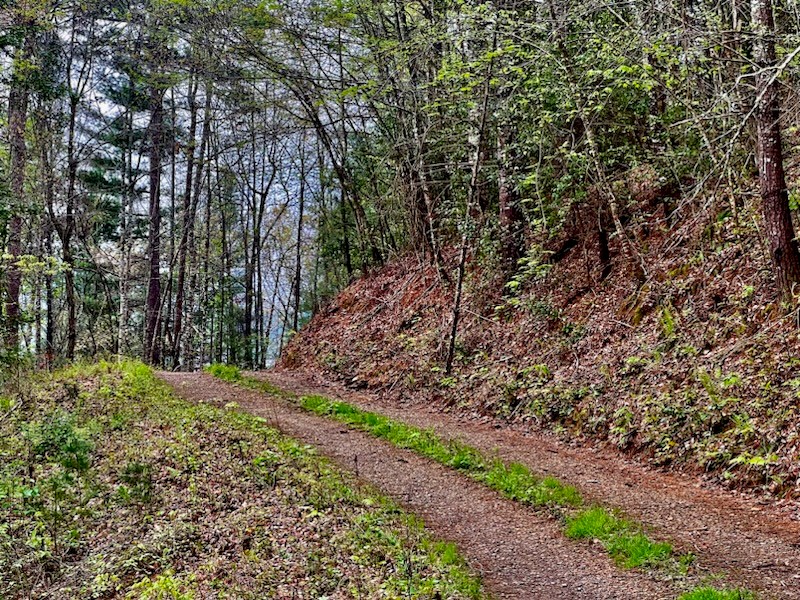 TR 47 Majestic Mountain Trail #TR 47, MURPHY, North Carolina image 5