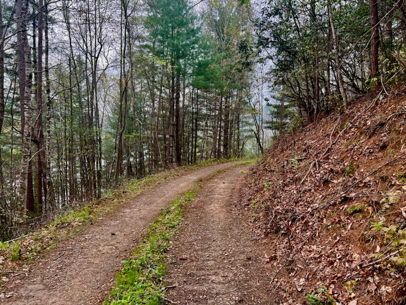 TR 47 Majestic Mountain Trail #TR 47, MURPHY, North Carolina image 4