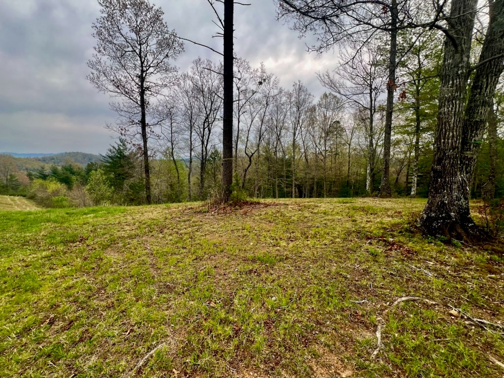 TR 47 Majestic Mountain Trail #TR 47, MURPHY, North Carolina image 2