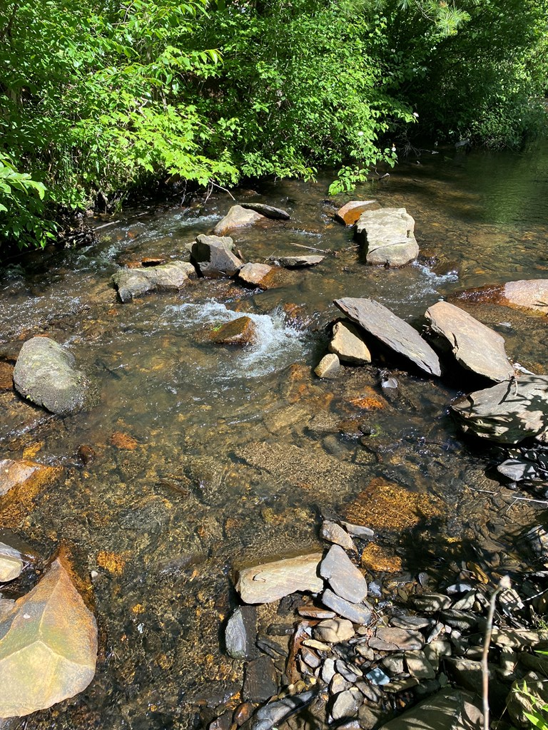 00 Deer Run #D, ROBBINSVILLE, North Carolina image 3