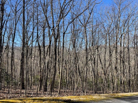 Vacant Land For Sale - LOT 34J Ash Branch Road #34J<br/> HAYESVILLE, NC 28904