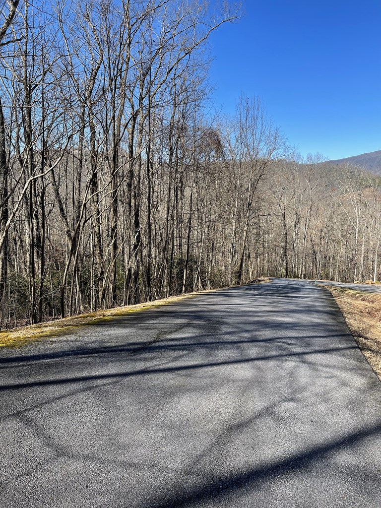 Lot 34J Ash Branch Road #34J, HAYESVILLE, North Carolina image 6