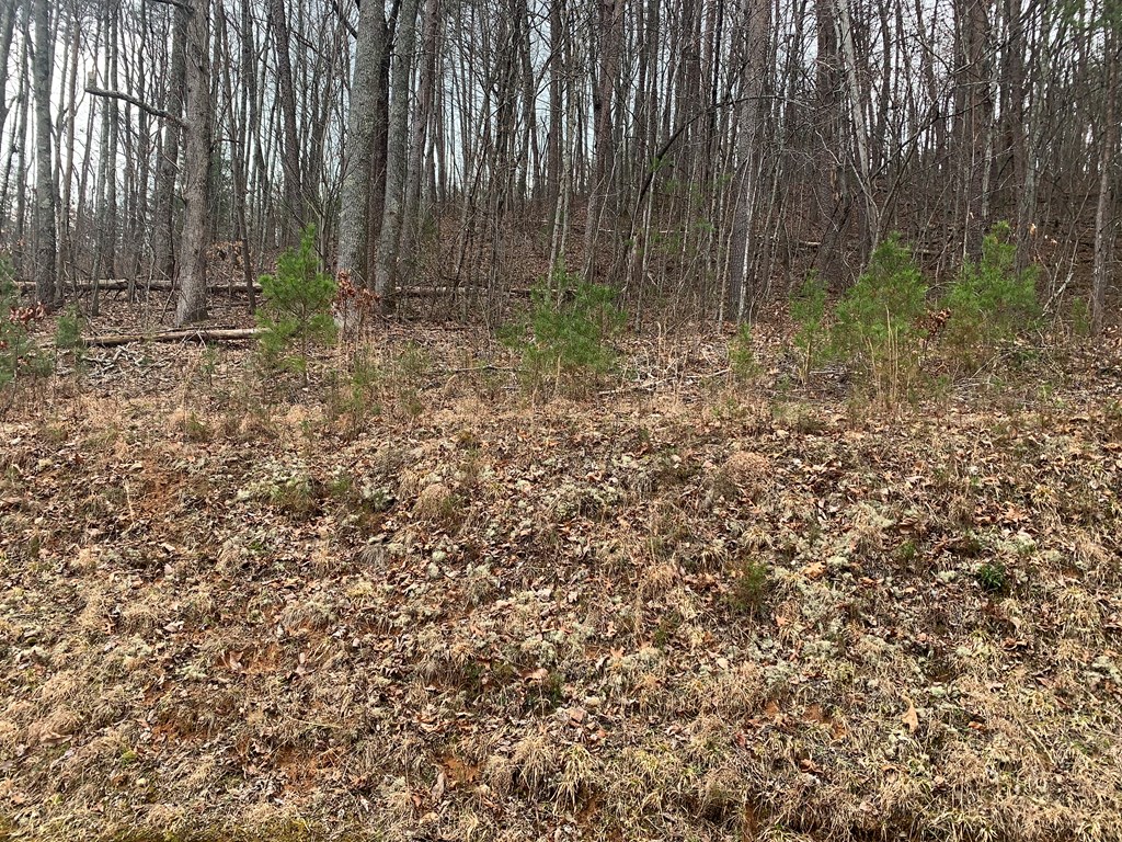 Lot 20 Wolf Ridge Lane #20, MURPHY, North Carolina image 10