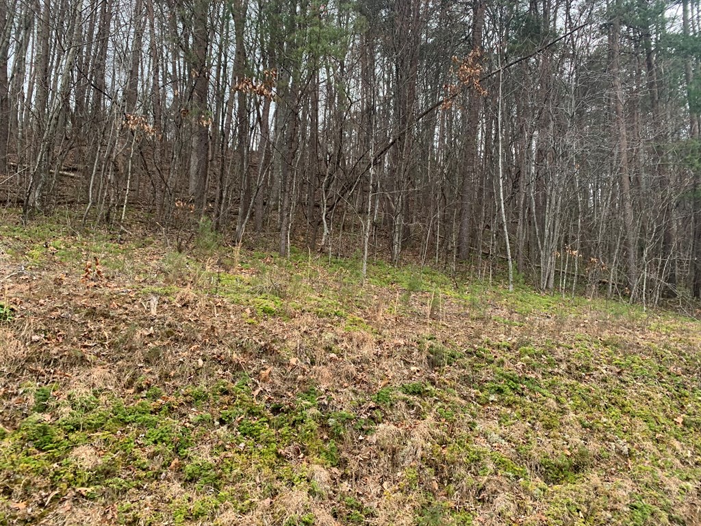 Lot 20 Wolf Ridge Lane #20, MURPHY, North Carolina image 25