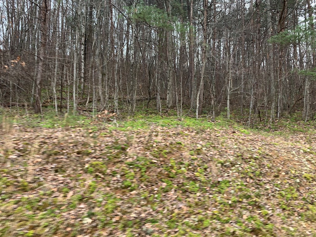 Lot 20 Wolf Ridge Lane #20, MURPHY, North Carolina image 7