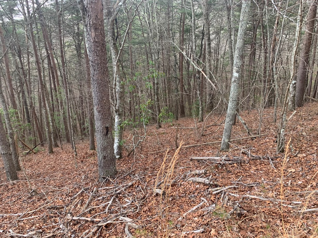 Lot 20 Wolf Ridge Lane #20, MURPHY, North Carolina image 19