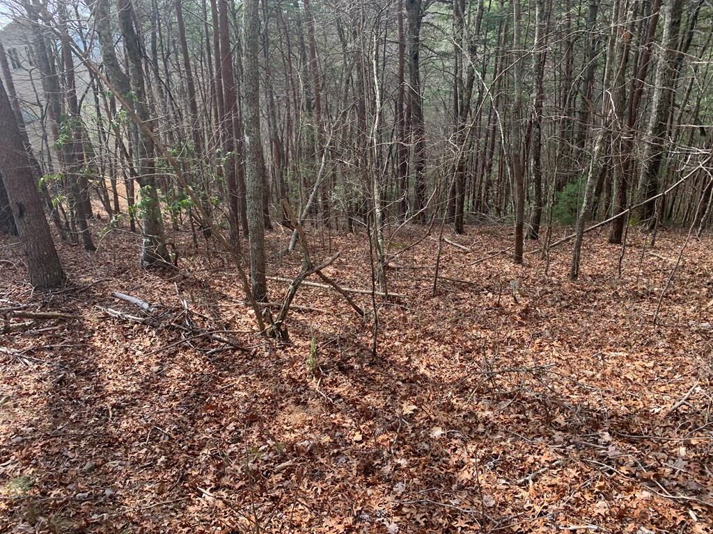 Lot 20 Wolf Ridge Lane #20, MURPHY, North Carolina image 32