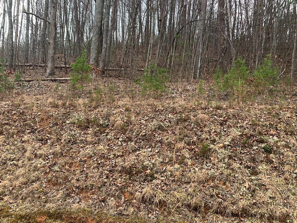Lot 20 Wolf Ridge Lane #20, MURPHY, North Carolina image 5