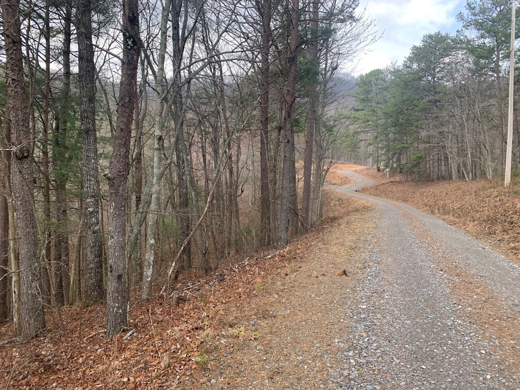 Lot 20 Wolf Ridge Lane #20, MURPHY, North Carolina image 15