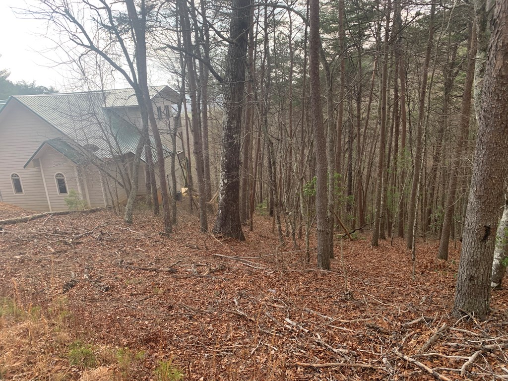 Lot 20 Wolf Ridge Lane #20, MURPHY, North Carolina image 20