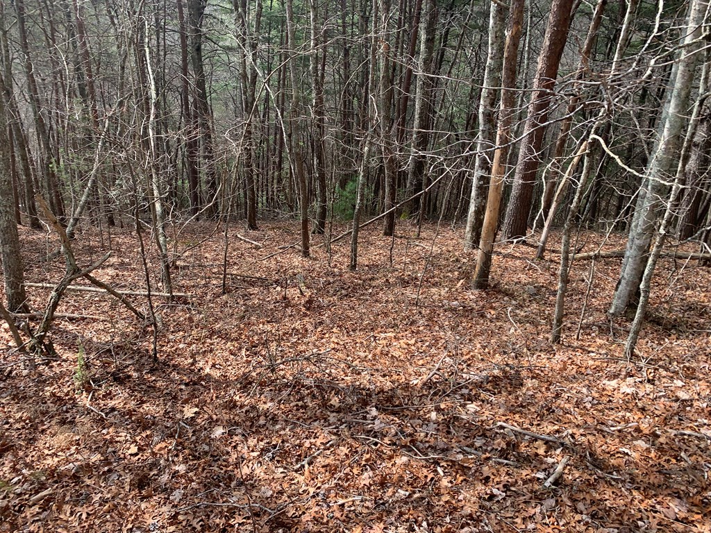 Lot 20 Wolf Ridge Lane #20, MURPHY, North Carolina image 2