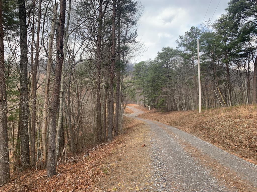 Lot 20 Wolf Ridge Lane #20, MURPHY, North Carolina image 1