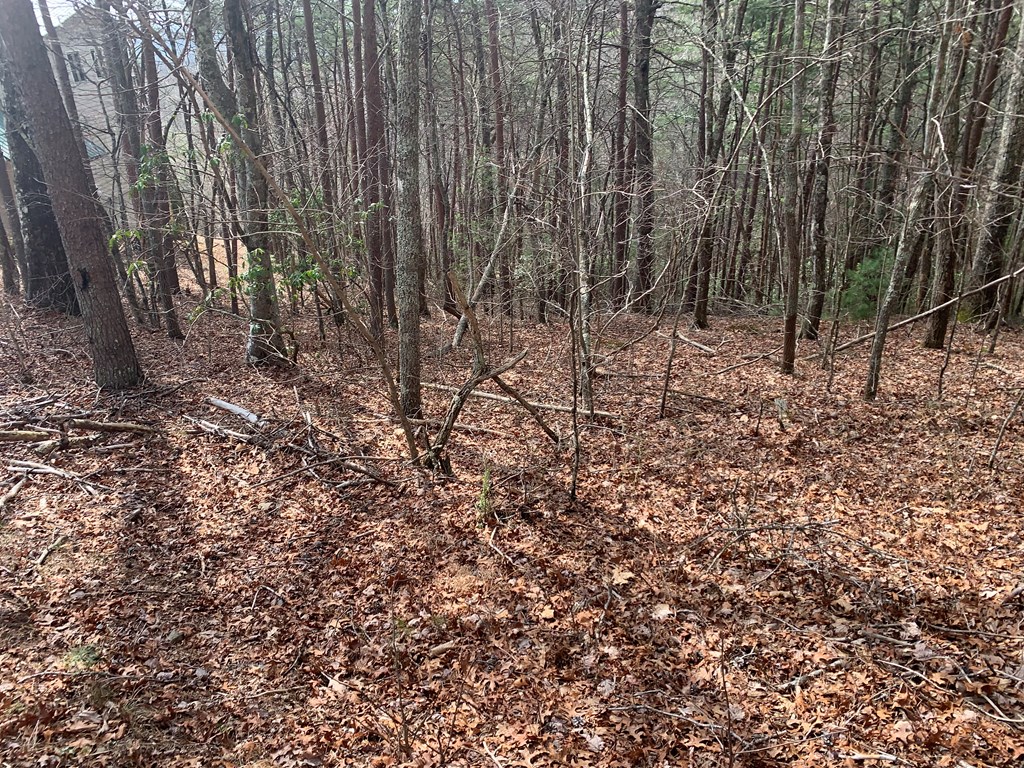 Lot 20 Wolf Ridge Lane #20, MURPHY, North Carolina image 9