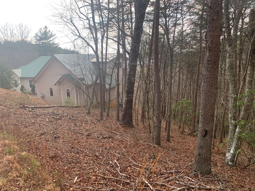 Lot 20 Wolf Ridge Lane #20, MURPHY, North Carolina image 33