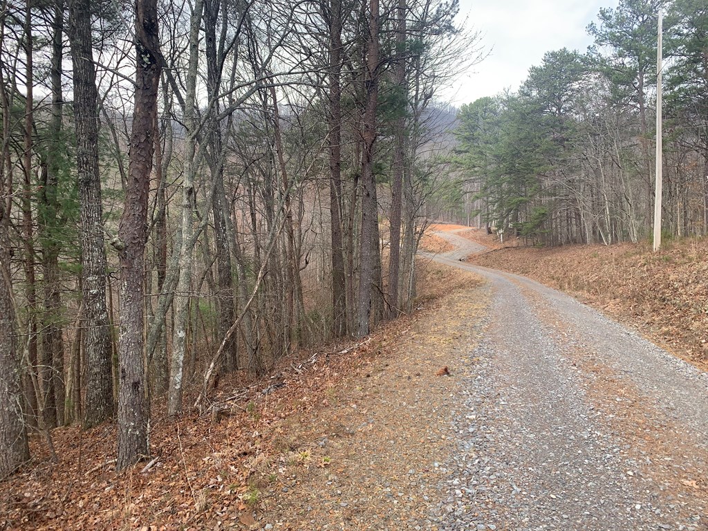 Lot 20 Wolf Ridge Lane #20, MURPHY, North Carolina image 16