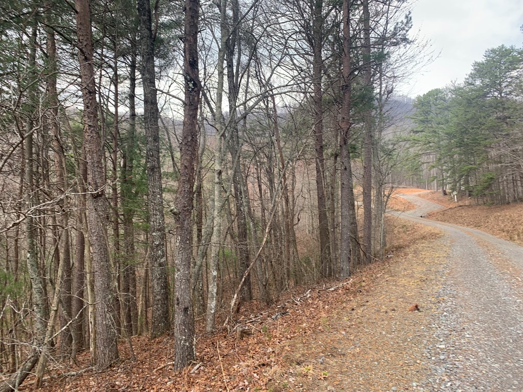 Lot 20 Wolf Ridge Lane #20, MURPHY, North Carolina image 14