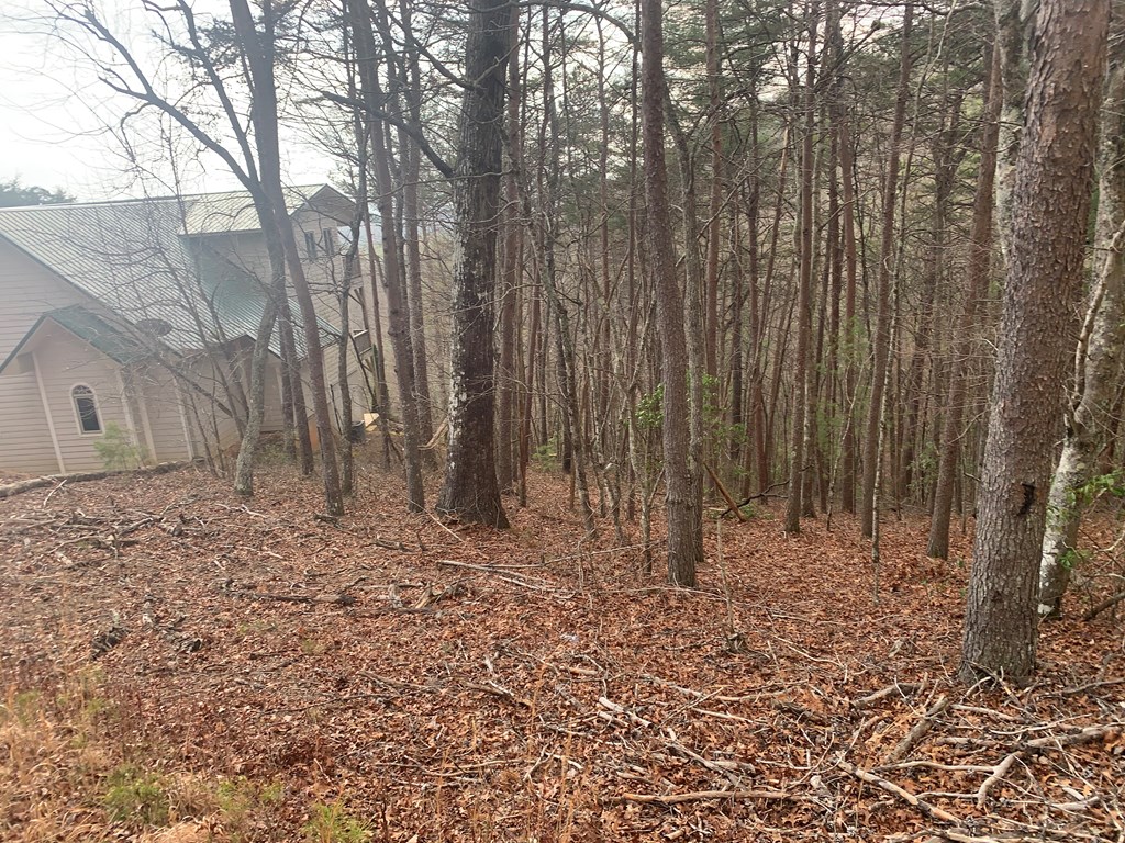 Lot 20 Wolf Ridge Lane #20, MURPHY, North Carolina image 22