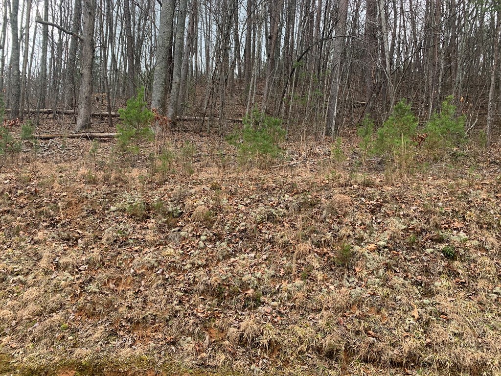 Lot 20 Wolf Ridge Lane #20, MURPHY, North Carolina image 4