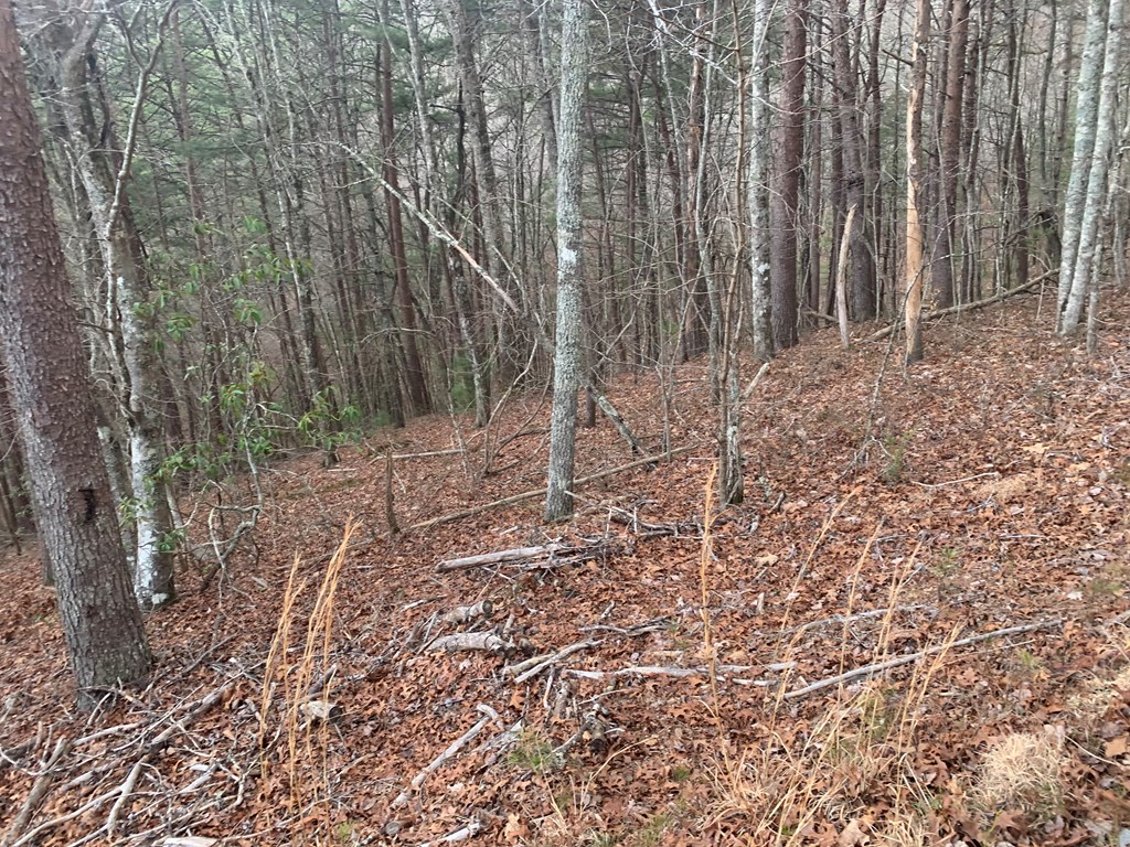 Lot 20 Wolf Ridge Lane #20, MURPHY, North Carolina image 18