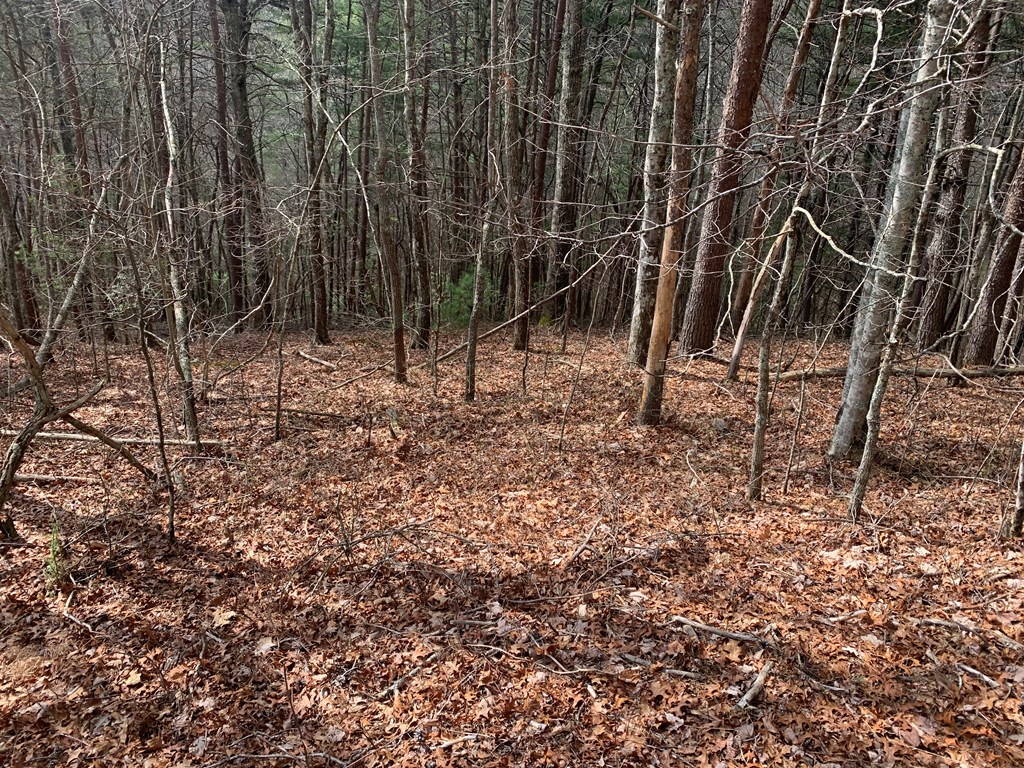 Lot 20 Wolf Ridge Lane #20, MURPHY, North Carolina image 3