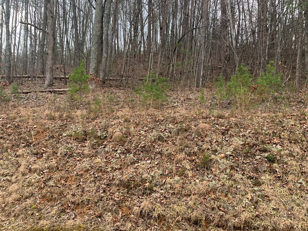 Lot 20 Wolf Ridge Lane #20, MURPHY, North Carolina image 6
