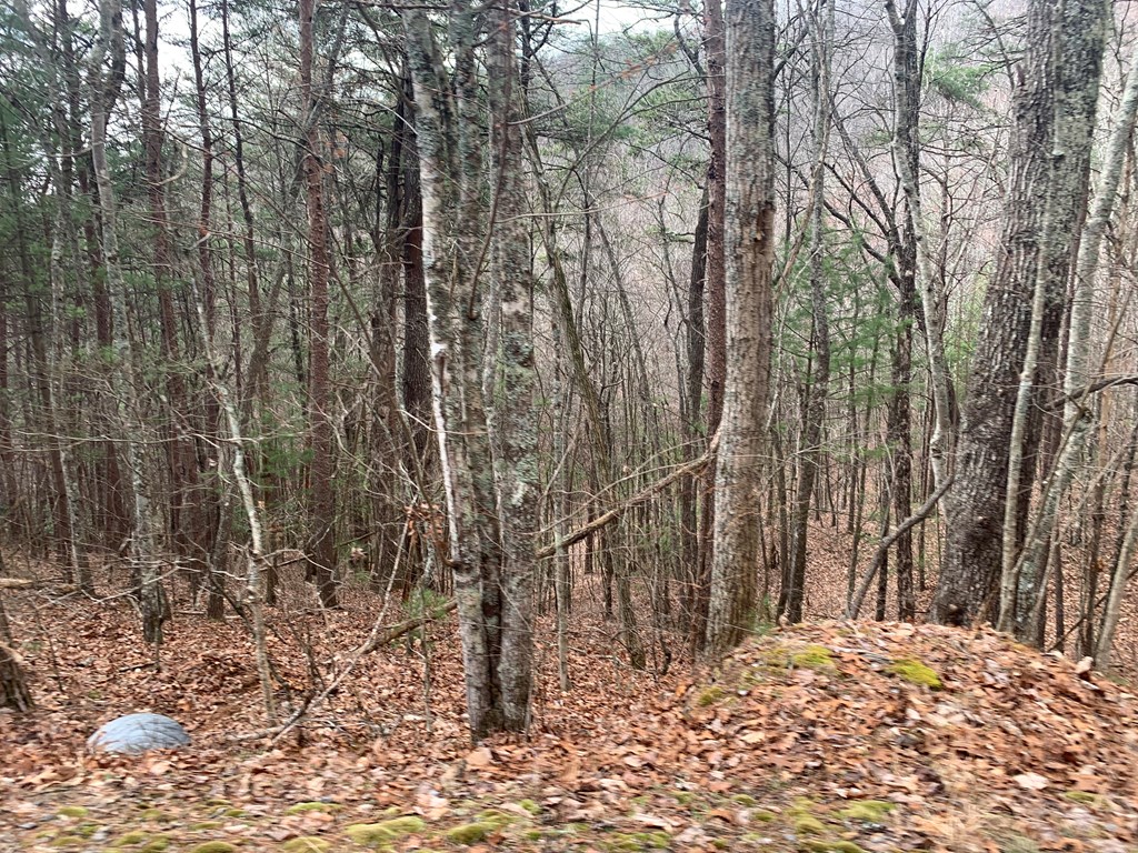 Lot 20 Wolf Ridge Lane #20, MURPHY, North Carolina image 27