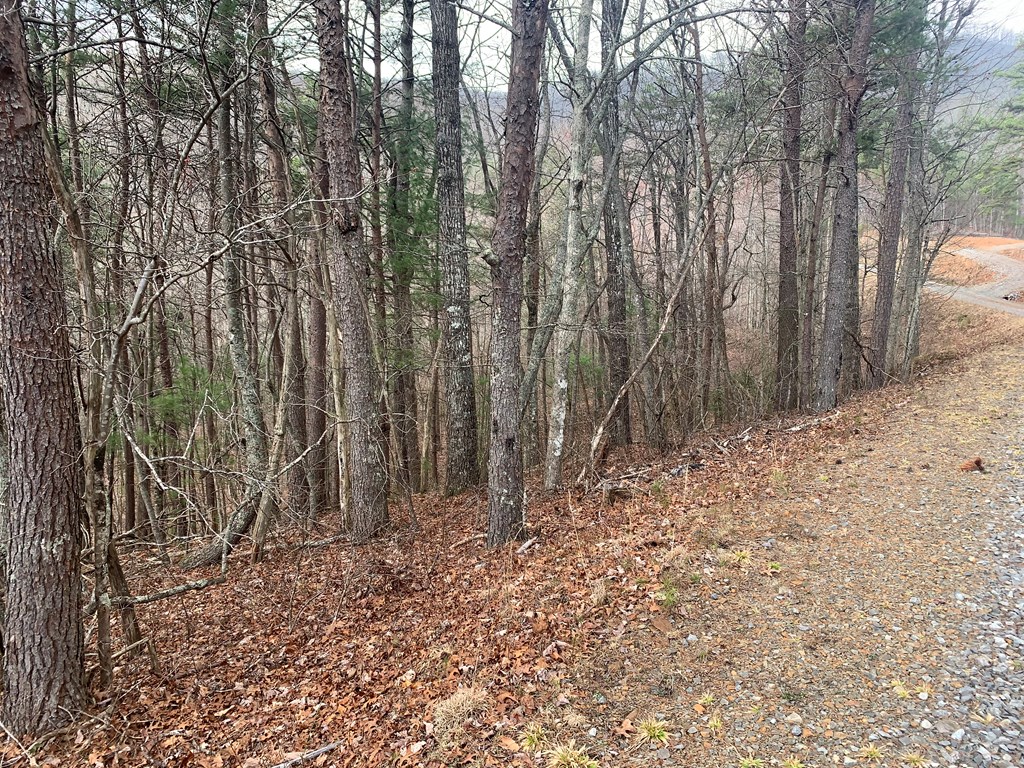Lot 20 Wolf Ridge Lane #20, MURPHY, North Carolina image 17