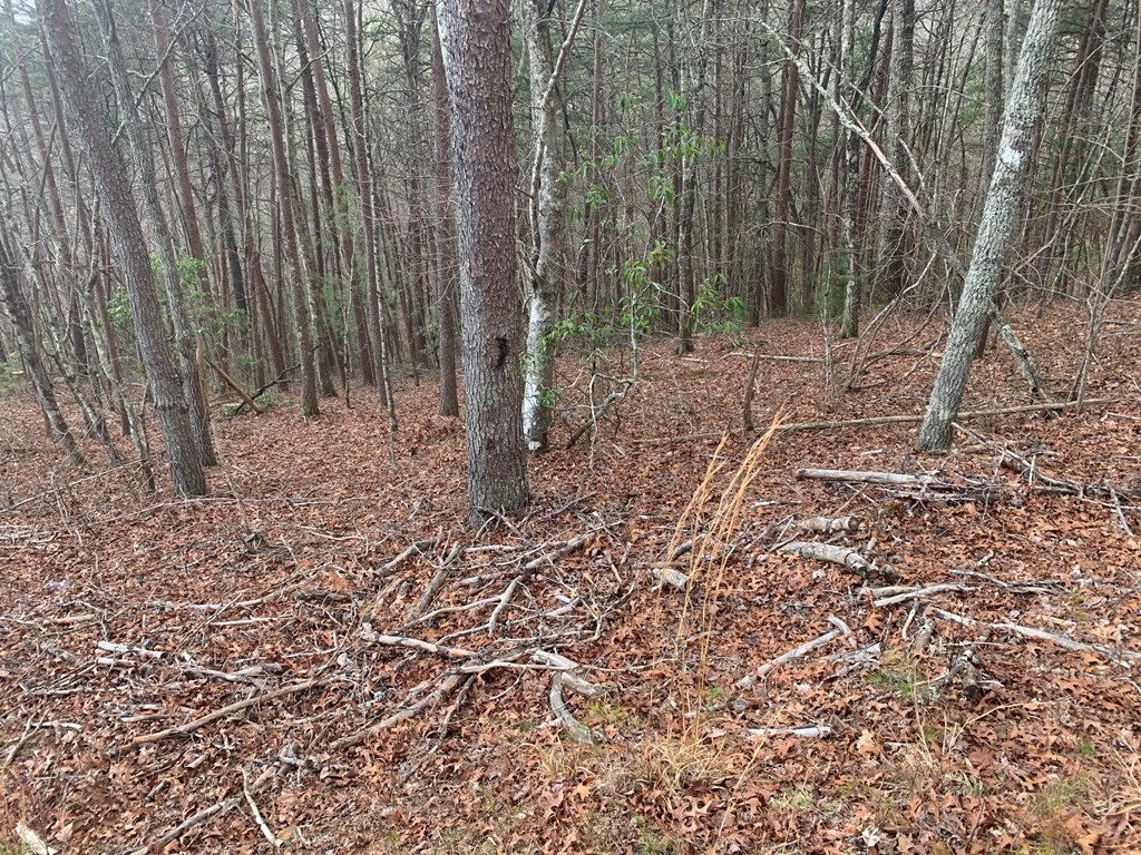 Lot 20 Wolf Ridge Lane #20, MURPHY, North Carolina image 23