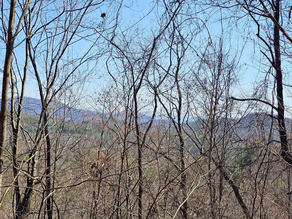 Photo 1 of 22 — Lot 39 Merlin Trl / Warbler Road Unit 39, MURPHY, NC 28906