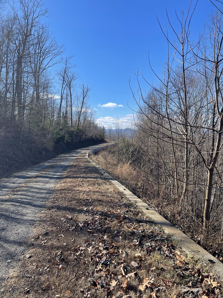 Lot #53M Ridges Overlook #53M, HAYESVILLE, North Carolina image 3