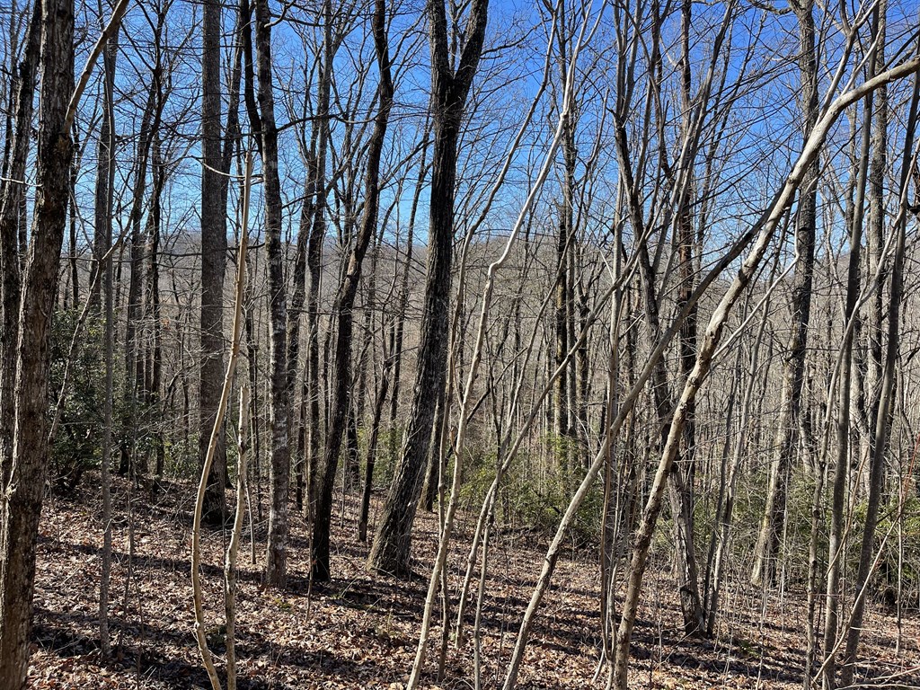 Lot #53M Ridges Overlook #53M, HAYESVILLE, North Carolina image 2