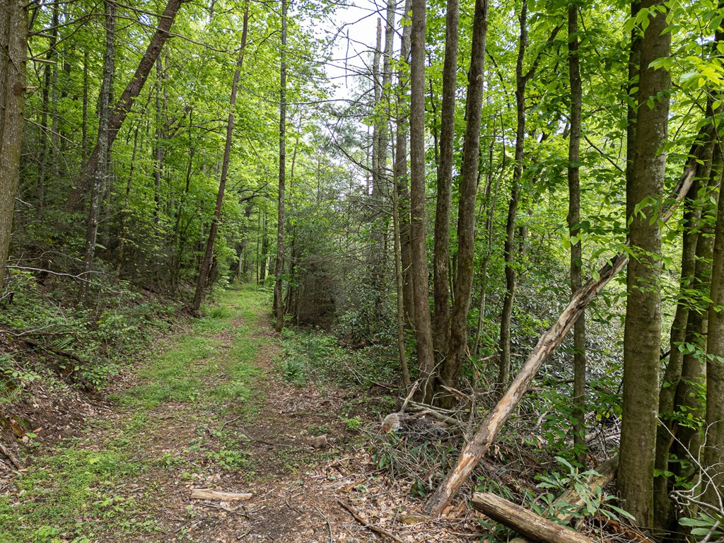 20561 Joe Brown Highway, MURPHY, North Carolina image 3