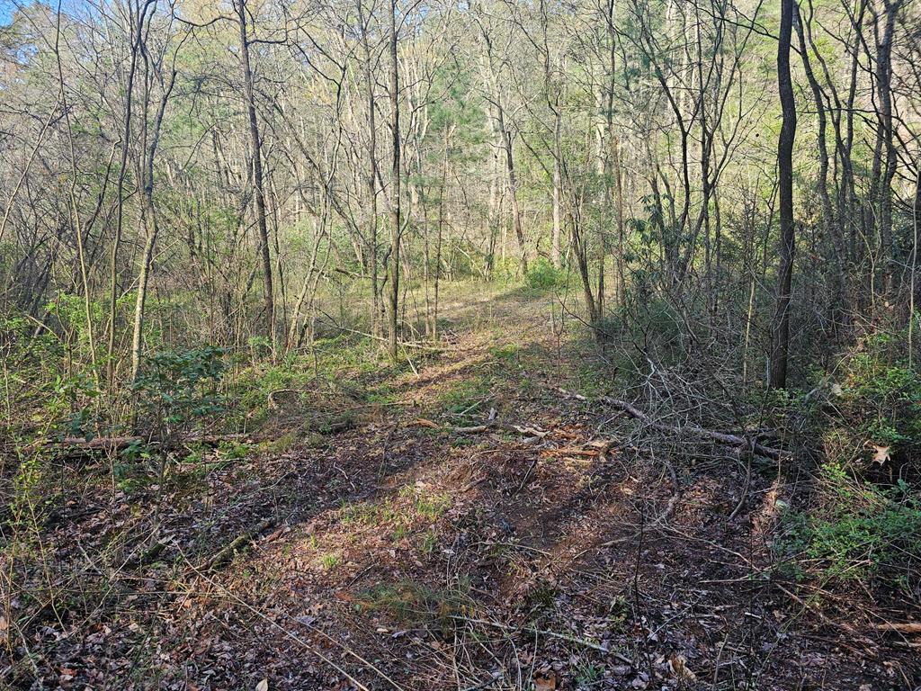 20561 Joe Brown Highway, MURPHY, North Carolina image 29