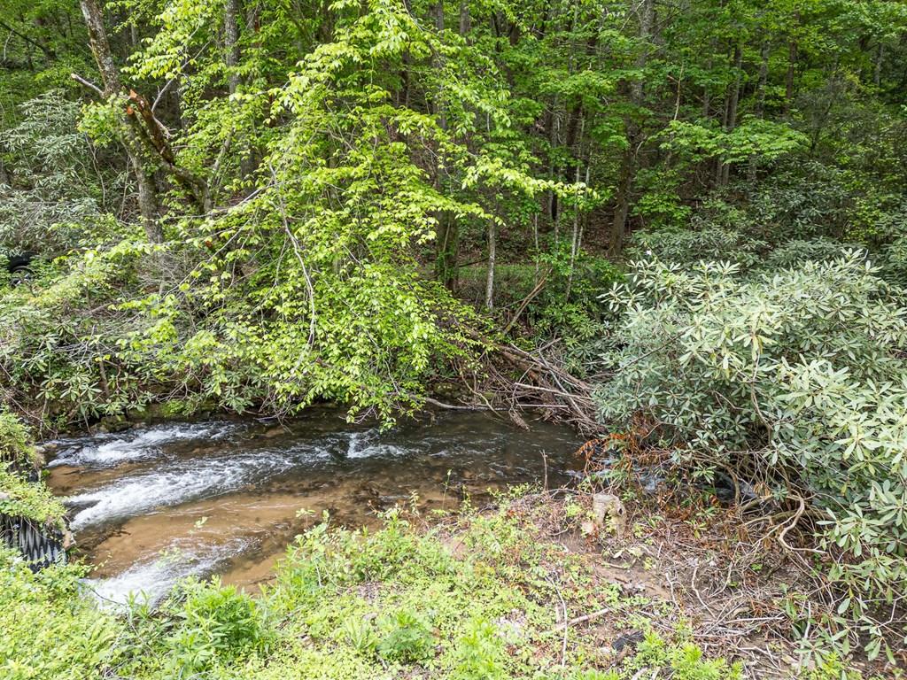 20561 Joe Brown Highway, MURPHY, North Carolina image 1