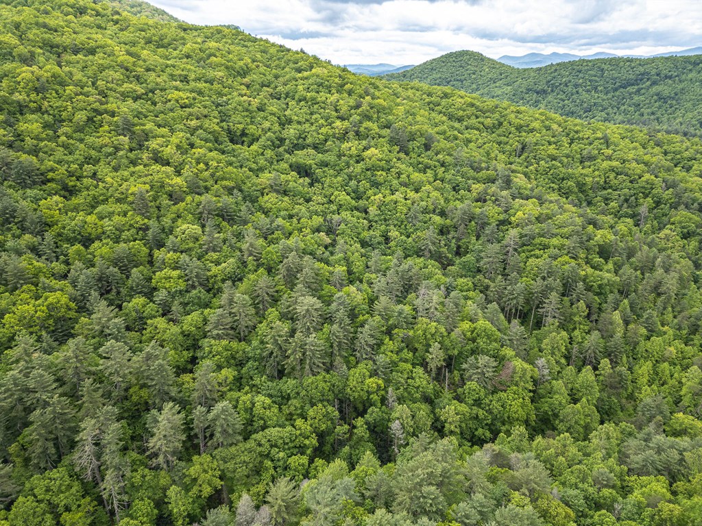20561 Joe Brown Highway, MURPHY, North Carolina image 23