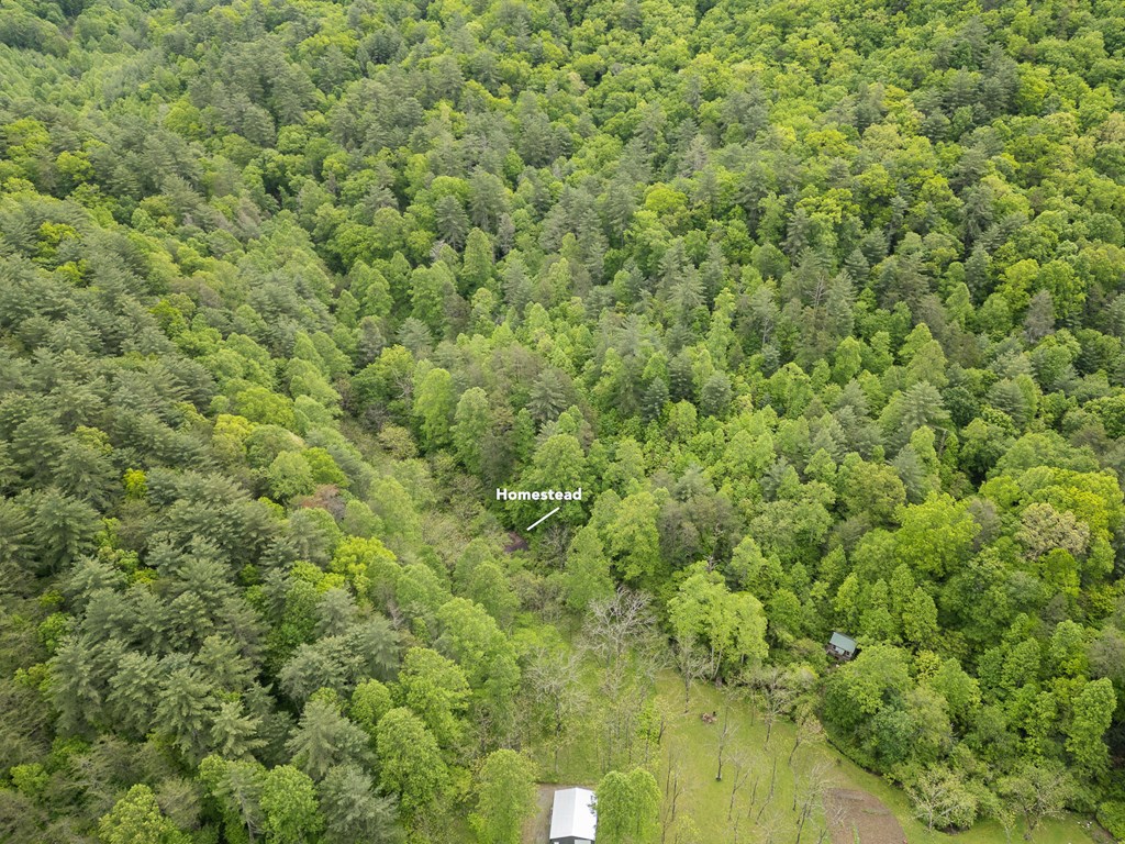 20561 Joe Brown Highway, MURPHY, North Carolina image 12