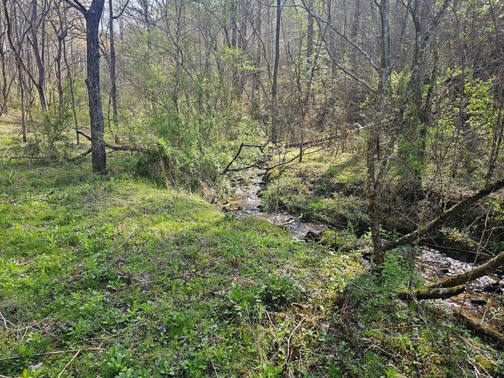 20561 Joe Brown Highway, MURPHY, North Carolina image 33