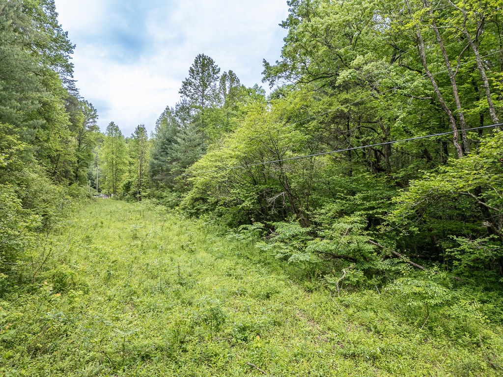 20561 Joe Brown Highway, MURPHY, North Carolina image 5