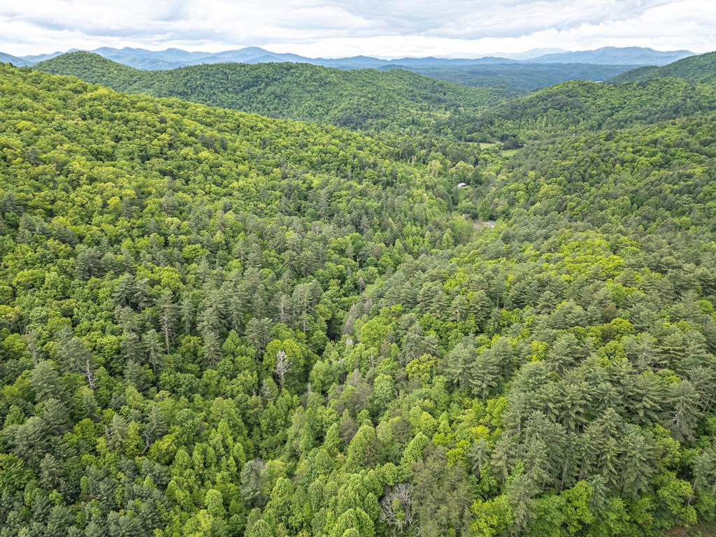 20561 Joe Brown Highway, MURPHY, North Carolina image 21