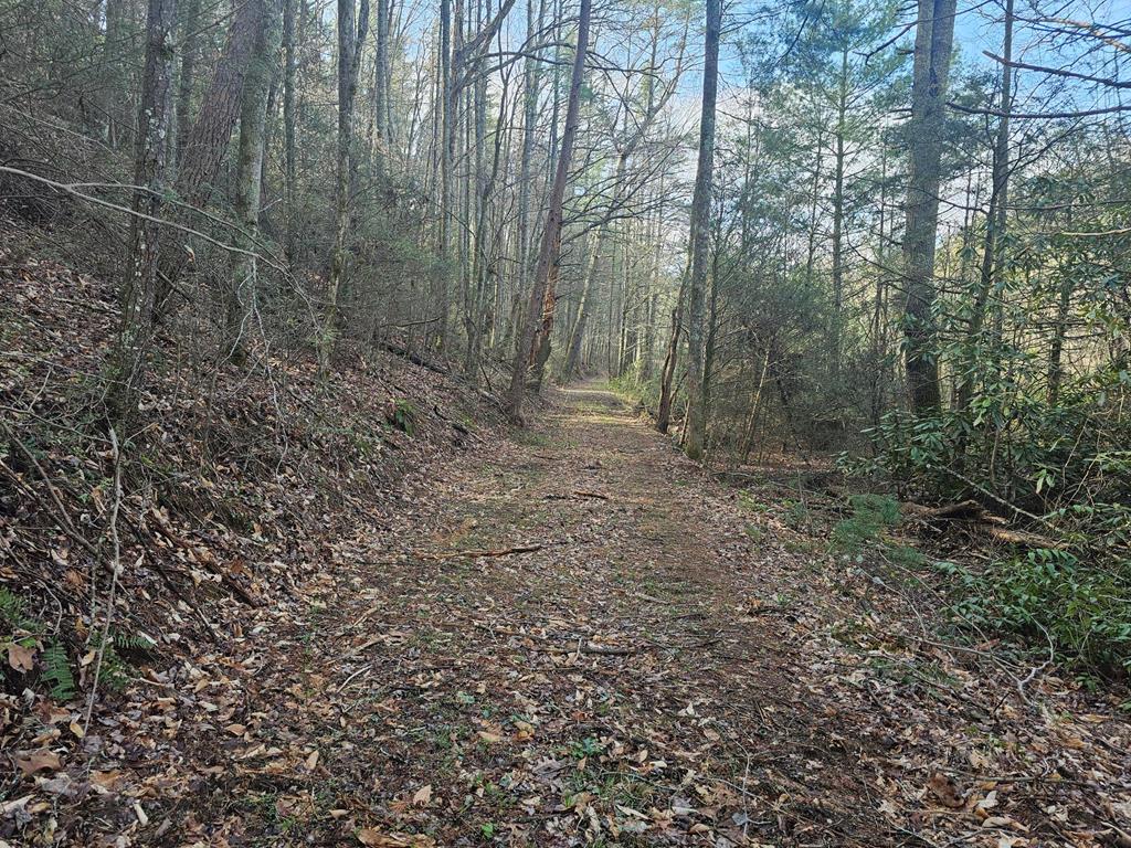 20561 Joe Brown Highway, MURPHY, North Carolina image 28
