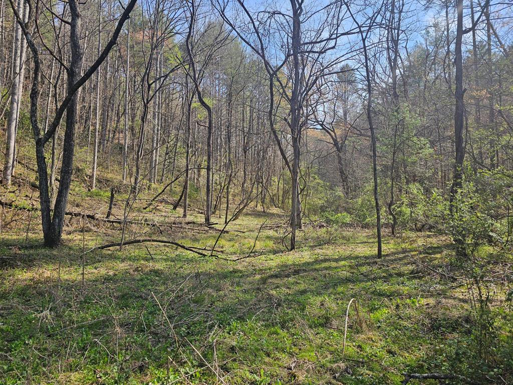 20561 Joe Brown Highway, MURPHY, North Carolina image 35