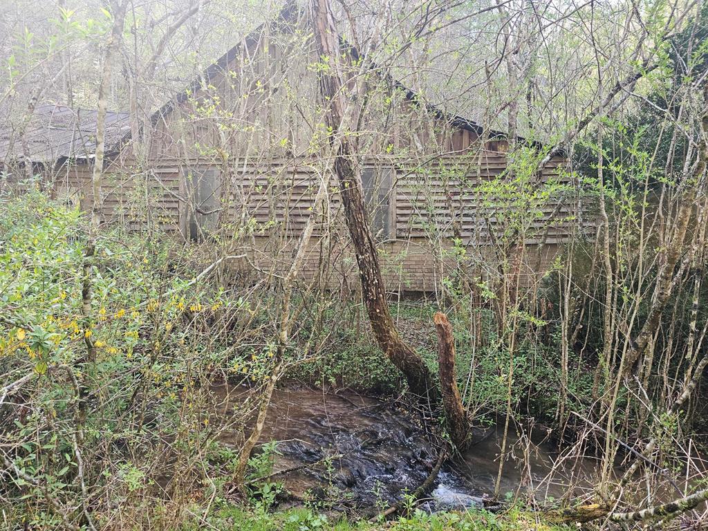 20561 Joe Brown Highway, MURPHY, North Carolina image 32