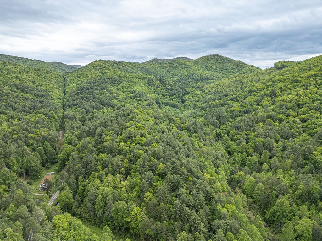 20561 Joe Brown Highway, MURPHY, North Carolina image 16
